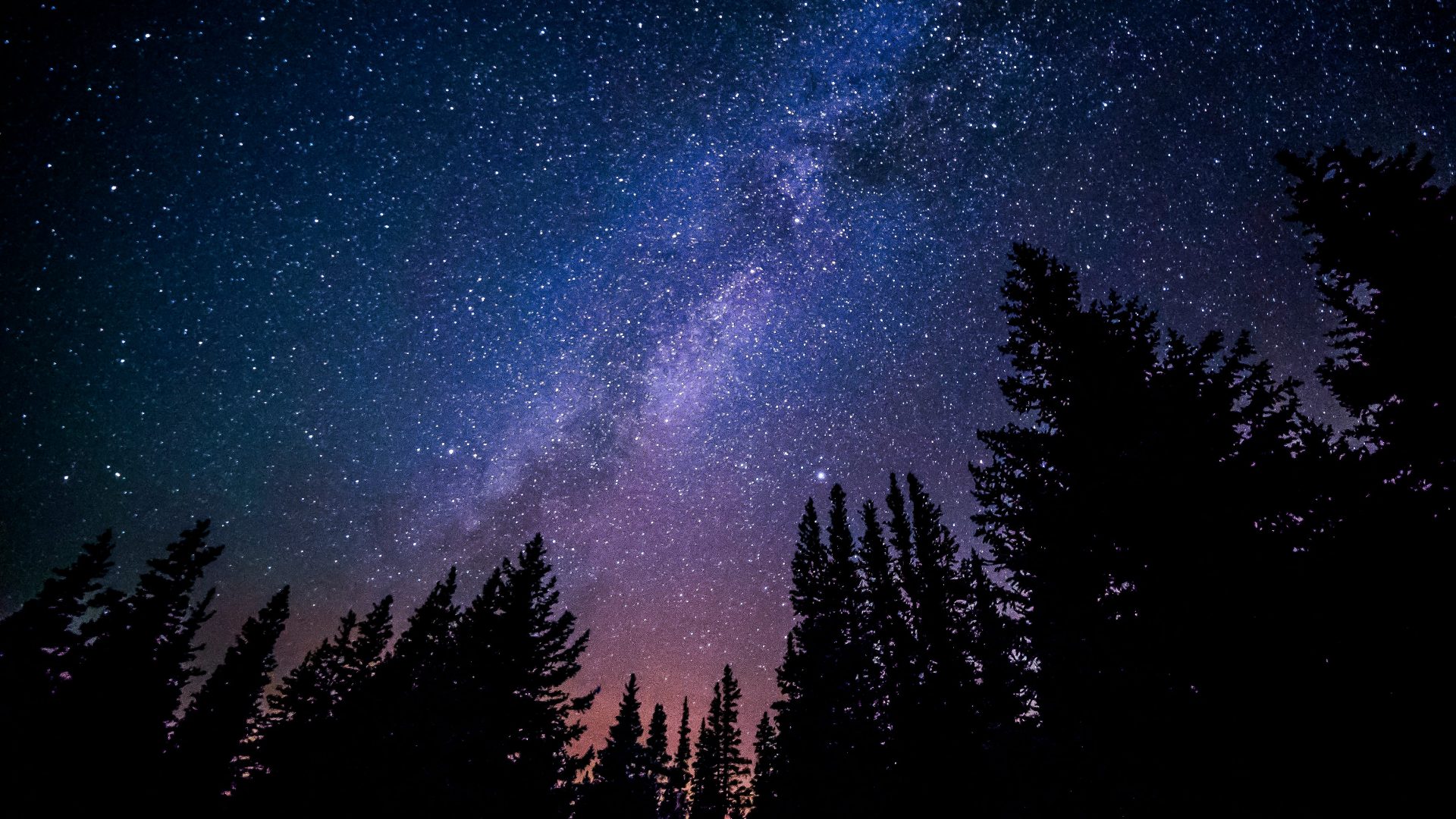 Milky Way above forested treetops at night.